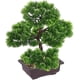 thumbnail image 3 of Decoración de árbol bonsái artificial ZHCH pino japonés en maceta 33 cm, 3 of 4