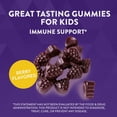 thumbnail image 2 of Suplemento Nature's Way Sambucus Kids Cough Relief 36 gomitas, 2 of 7
