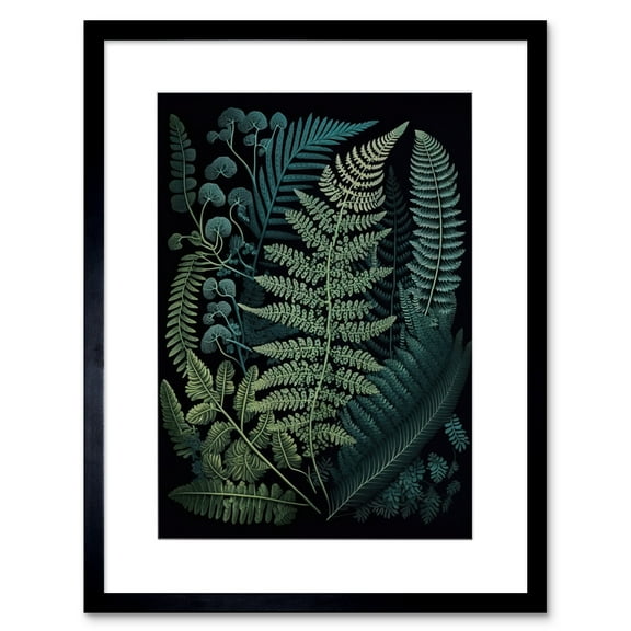 Leaf Illustration Fern Fronds Ernst Haeckel Style Artwork Framed Wall Art Print 9X7 Inch