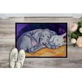 thumbnail image 2 of Carolines Treasures 7354JMAT Weimaraner Snuggle Bunny Doormat 24x36 36"L x 24"W multicolor, 2 of 4