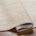 Hauteloom Gowan Living Room, Bedroom Farmhouse Area Rug - Natural Solid ...