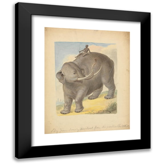 James Sowerby 12x14 Black Modern Framed Museum Art Print Titled - Elephant with Rider.