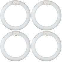 GE Lighting 33774 Cool White 8-Inch Diameter Circline Fluorescent T9 Bulb, 22-Watt, 1100 lumen, 4100K (quantity of 4)