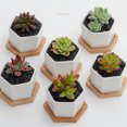 thumbnail image 3 of Wosthever Macetero suculento hexagonal de cerámica con bandeja de bambú, vida al escritorio con estilo, barato y fácil de limpiar Jardín y Patio, 3 of 6