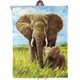 thumbnail image 1 of Manta de franela suave y acogedora con diseño de calavera y rosa para mujeres, adultos y niños. Mantas cálidas pero ligeras para viajes, cama, sofá, abrigo cómodo y difuso para exteriores de 60 x 50, 1 of 8
