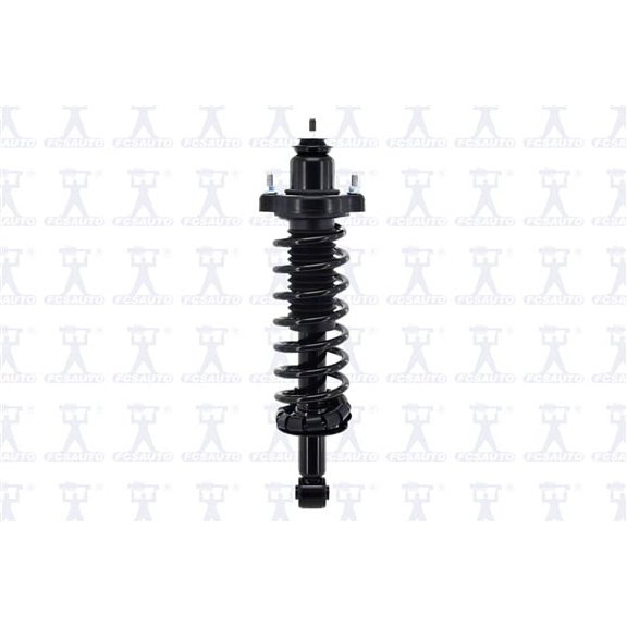 Suspension Strut and Coil Spring Assembly