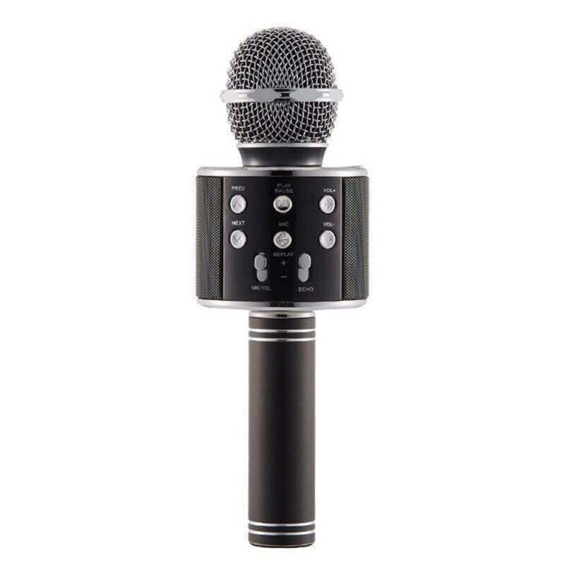 singing mic with speaker