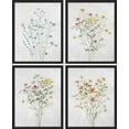 thumbnail image 3 of PixonSign Framed Colorful Wildflower Still Life Wall Art, Set of 4 Floral Botanical Print Wall Decor Prints, Nature Wilderness Wall Décor, Country Farmhouse Rustic Artwork - 11"x14" Black, 3 of 5