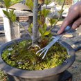thumbnail image 3 of Rake Stainless Steel Garden Prong Hand Planting Rake Portable prong stainless steel rake Dual Head Miniascape Planting Tool, 3 of 8