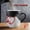 1PC#Multicolor#3.66×3.35 Inch#B, variant on Heart-Shaped Color-Changing Ceramic Mug, Magic Heat-Sensitive Coffee Tea Cup, Creative Novelty Drinkware for Home Office Gift for Couples