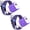 Purple, variant on Micro USB Charger Block, 2 Pack Wall Charger with 6FT USB A to Micro Cable, USB Charger Brick Cube Android Phone Charger with High Speed Micro Charging Cable Compatible for Samsung Android, Purple