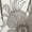 White_Gray, variant on Lush Decor Botanical Garden Valance - Blue - 18 x 52