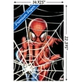 thumbnail image 3 of Marvel Comics - Spider-Man - Web Wall Poster, 14.725" x 22.375", 3 of 5