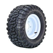 WANDA Golf Cart Tire & wheel 20X10-10 4-Ply with 4 Lugs on 4" PCD White Wheel-14054