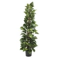 thumbnail image 2 of Nearly Natural Plastic 63" Pothos Climbing Artificial Plant, Green, 2 of 3