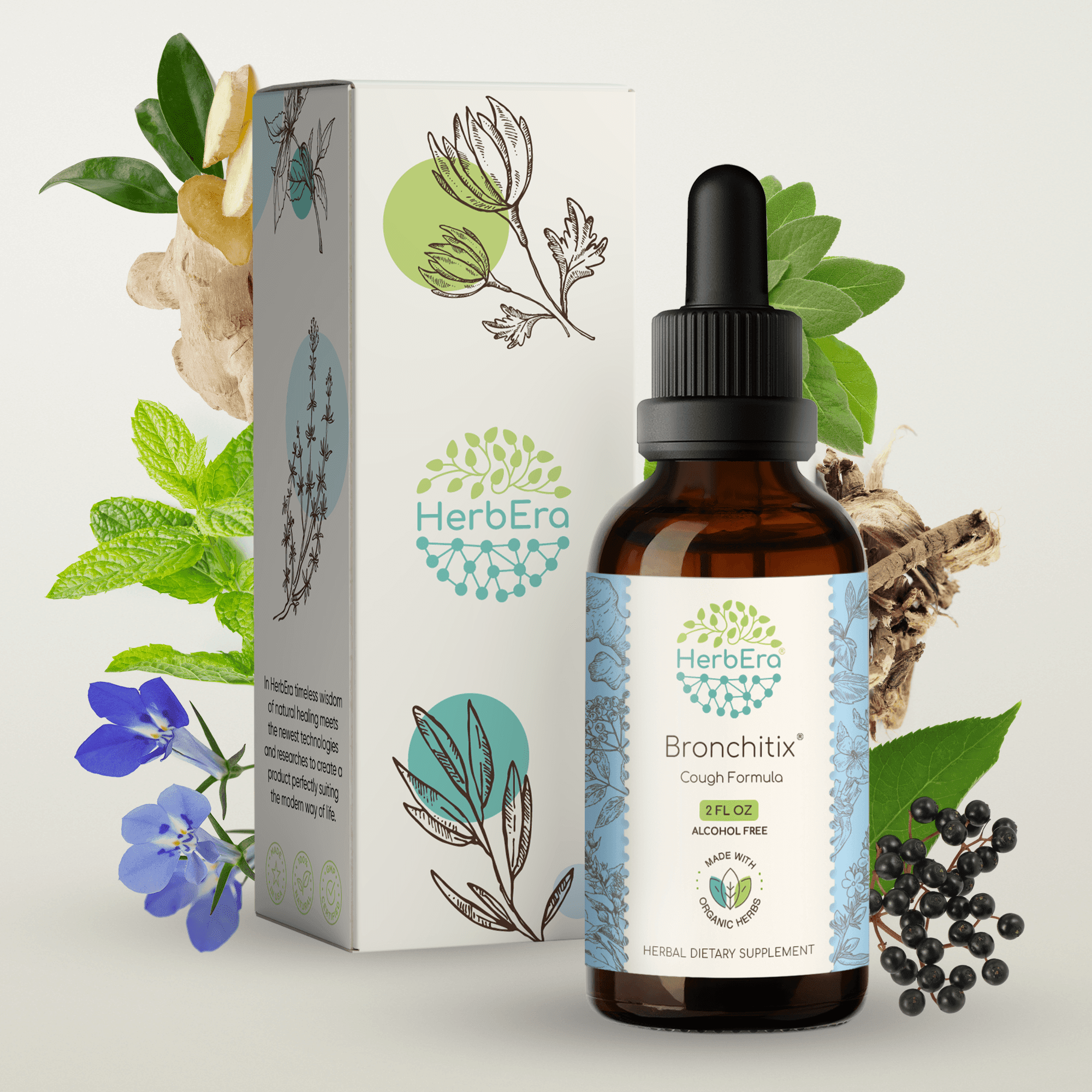 HerbEra Bronchitix Extract, Dietary Supplement Herbal Formula, Made from Elderberry, Marshmallow Root,Ginger Root, Mullein Leaf, Peppermint Leaf, Lobelia Herb 2 oz