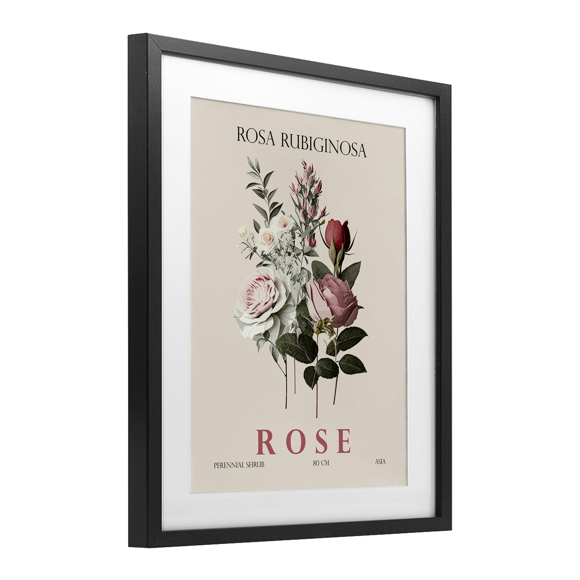 Stupell Industries Natural Rose Bundle Black Framed Print Under Glass, design by Christopher Giampietro