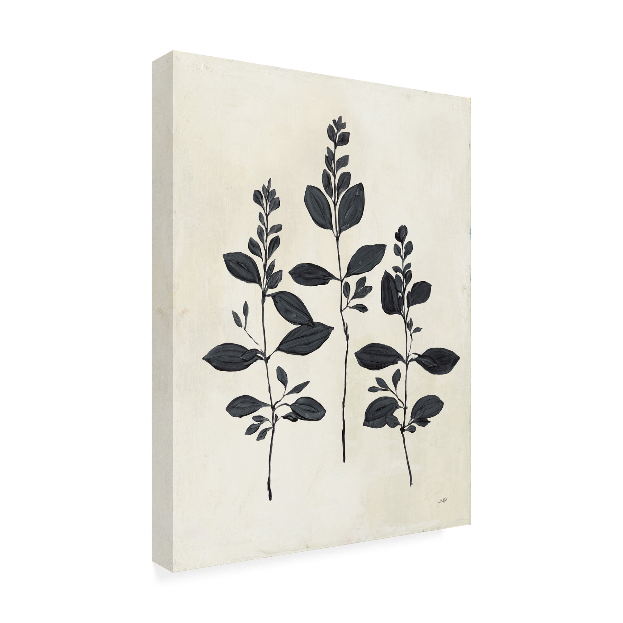 Trademark Fine Art 'Botanical Study IV' Canvas Art by Julia Purinton