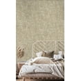 thumbnail image 2 of Taupe & Gold Beaded Metallic Plain Textured Wallpaper R8434, 2 of 4