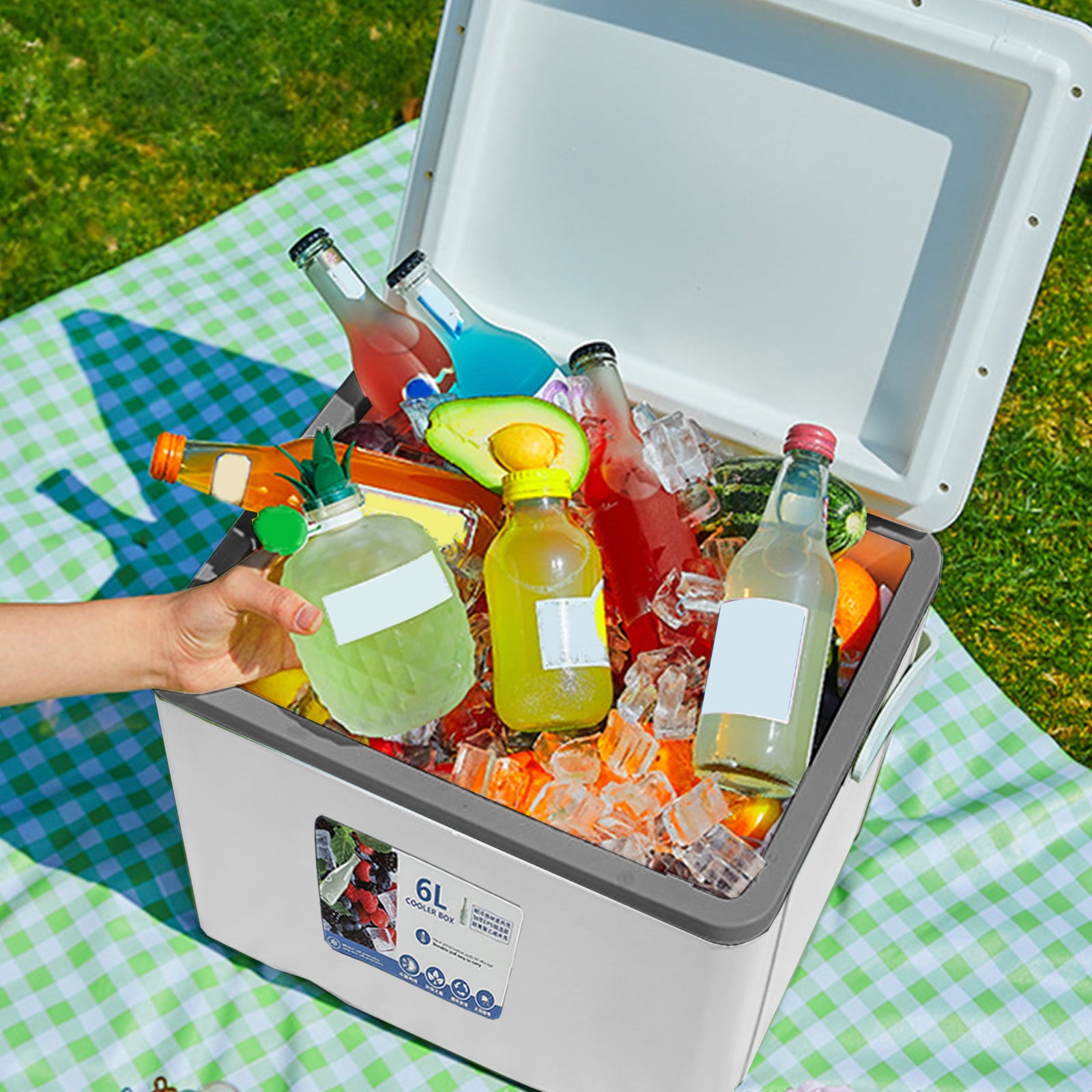 Insulated Portable Cooler Leak-Proof Ice chest Lunch Box Hard Coolers, Leak-Proof, Air Tight, Drybox Cooler and Small Hard Shell Lunchbox for BBQ, Camping, Pincnic (6 L, White)