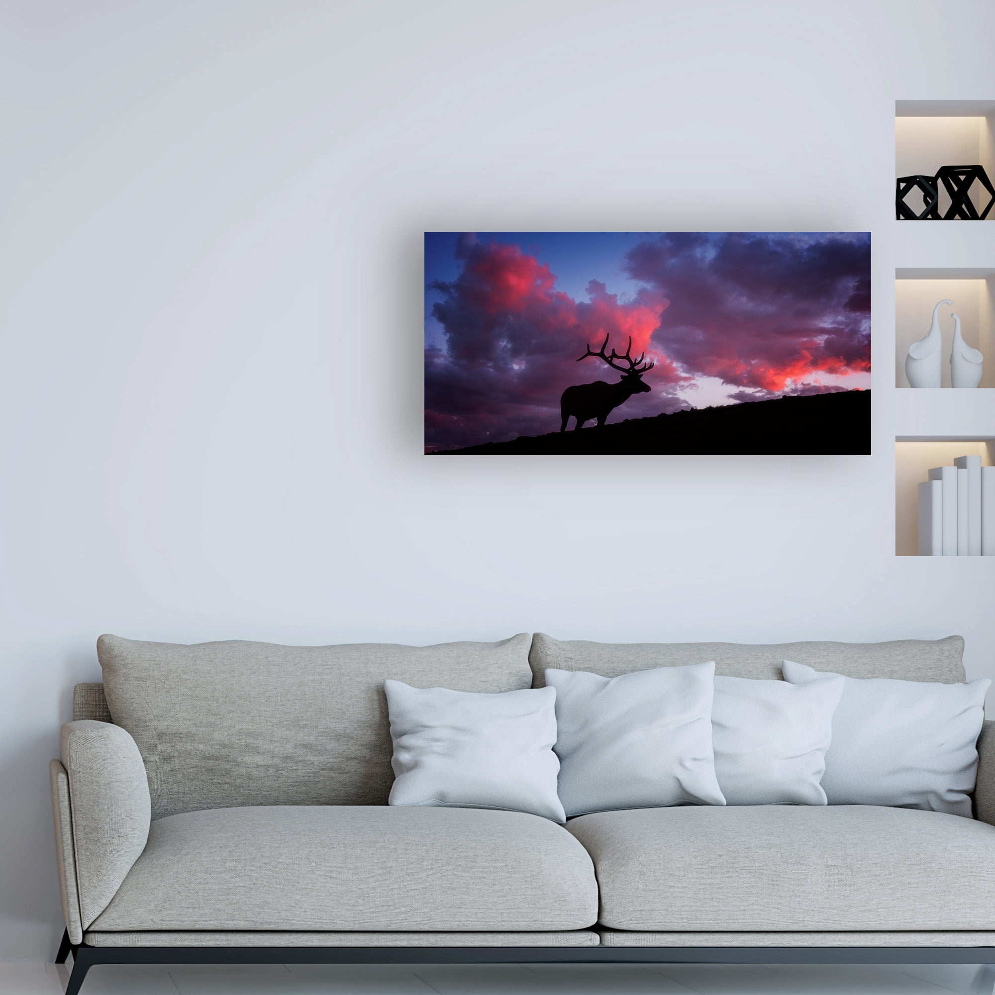 Trademark Fine Art 'Sunset in the Rockies Elk' Canvas Art by Darren White Photography