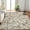 Brown Tone, variant on Washable 10x13 Large Area Rugs for Living Room Non-Slip Modern Botanical Floral Rugs Accent Floor Carpet for Bedroom Dining Room Brown