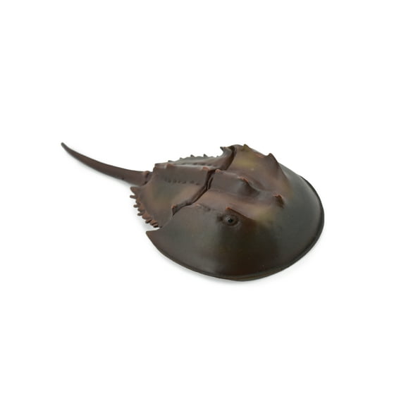 Collectible Wildlife Gifts 6 1/2" Rubber Horseshoe Crab Figurine