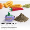 thumbnail image 3 of Pawsible 5 Pack Foodie Cat Toy Set, 100% Premium Cat Herb Filling, Natural Stimulation for Cats, Durable for Teething, Perfect Kitte, 3 of 5
