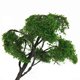 thumbnail image 5 of 2x árbol Modelo de Olmo Pintado 12 Cm / 4,72 Pulgadas 1:75 para Construcción de Paisaje de Diorama Sunnimix Árbol modelo, 5 of 7