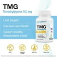 thumbnail image 2 of Puregen Labs TMG 750 mg – Trimethylglycine Supplement – Encourages Healthy Homocysteine Levels, Non-GMO, NO Gluten and Dairy - Made in USA - 60 Vegetarian Capsules - 1PK, 2 of 7