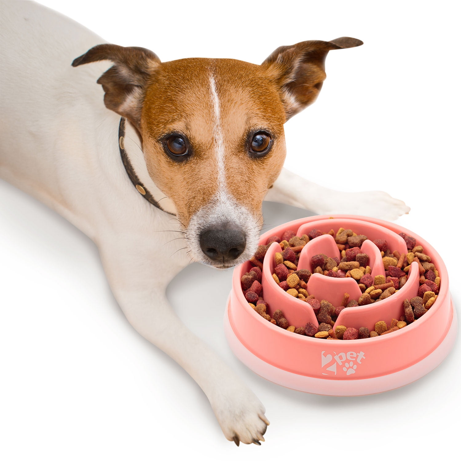 Slow Feed Dog Bowl Slowly Bowly by 2PET. Fun Interactive Dog Dish for