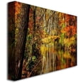 thumbnail image 2 of Trademark Fine Art "Bob's Creek" Canvas Wall Art by Lois Bryan, 2 of 2