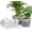 8+10 Inch-10pcs, variant on Inch Large Clear Nursery Pots with Drainage Hole, Plastic Plant Pots for Seedling Flower Vegetable, Indoor Outdoor Gardening, Used as Liner Inside Decorative Pot