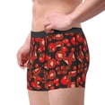thumbnail image 2 of Pofeuu Tomato Print Men’s Boxer Briefs, Moisture-Wicking Underwear, Regular,Trunk-Large, 2 of 5