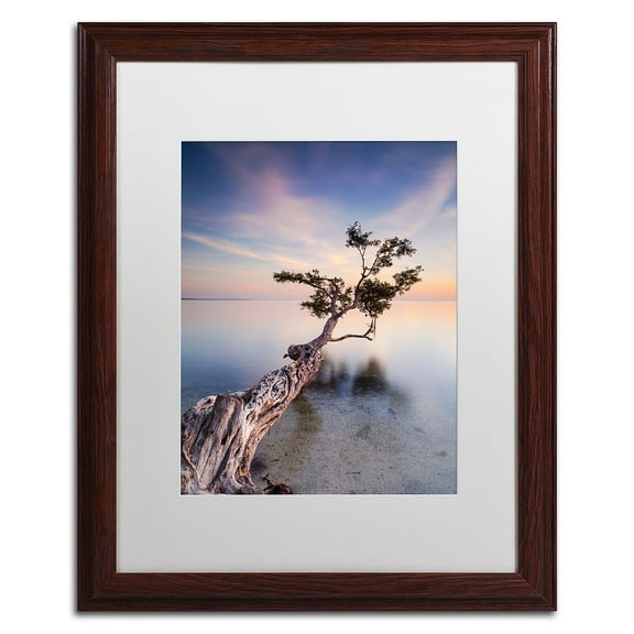 Trademark Fine Art "Water Tree X" Canvas Art by Moises Levy White Matte, Wood Frame