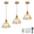 thumbnail image 1 of FSLiving No Wiring Needed Ceiling Light with Rechargeable Battery Operated RGB LED Bulb,Dimmable Timing Adjustable Height Pendant Light with Clear Glass Flower Shade for Kitchen - 3 Lights, 1 of 6