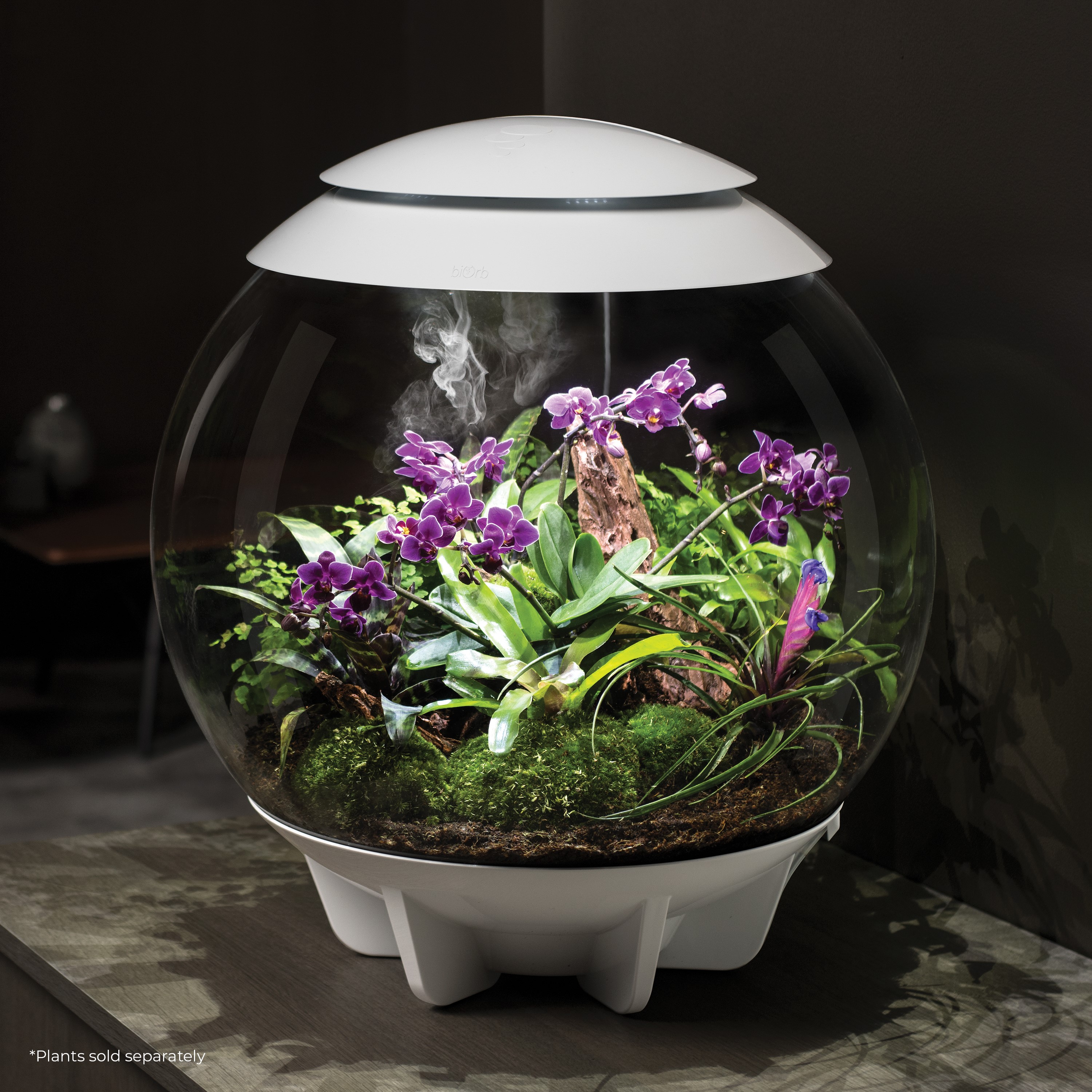 biOrb AIR 60 LED Terrarium With LED Lights - Acrylic, White