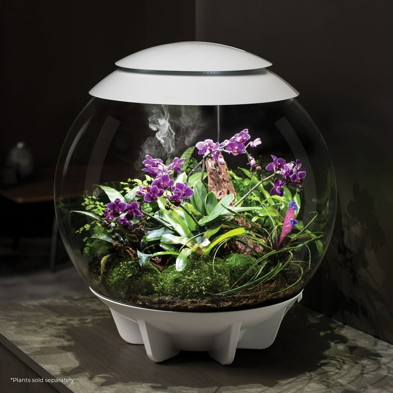 biOrb AIR 60 LED Terrarium With LED Lights - Acrylic, White