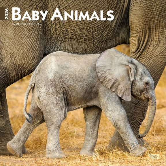 Baby Animals | 2026 12x24" (Hanging) Wall Calendar | Plastic-Free | BrownTrout