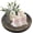 Whitewash, variant on Candle Plate Holder Tray: Round Wooden Decorative Candle Plate Small Farmhouse Table Centerpiece Rustic White Wood Tealight Pillar Trays for Home Decor (Distressed)