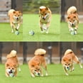 thumbnail image 5 of Dog Ball  Rubber Dog Ball  Interactive Toy  Bite Resistant Tooth Training Toys  Fetch Toy for Small  Medium and Large Dogs, 5 of 5