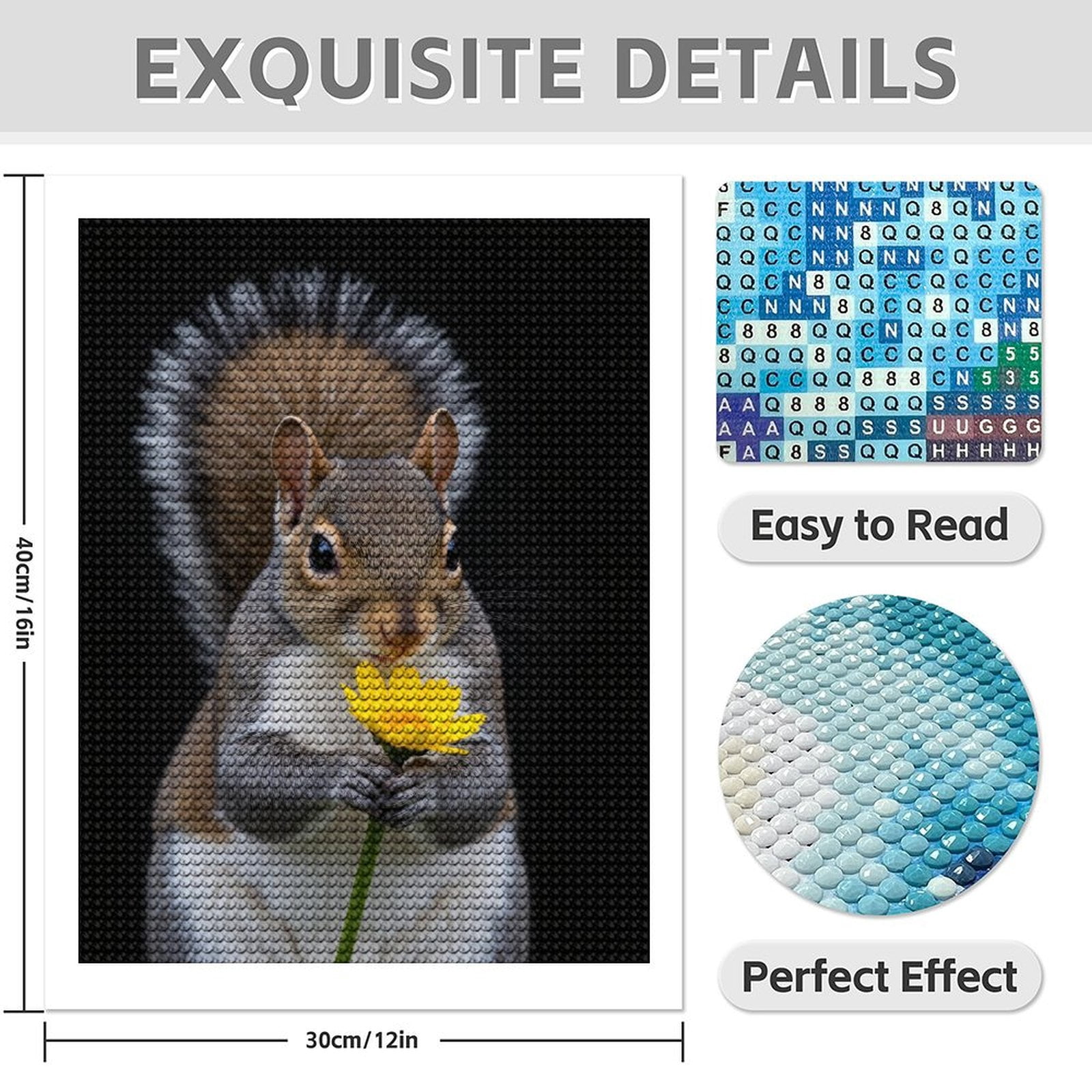 Diamond Art Kit for Adults, Squirrel Holding Yellow Flower Diamond Painting for Adults Beginners, DIY Diamond Art Painting Kits, 5D Diamond Painting Crafts for Home Decor 12x16 Frameless