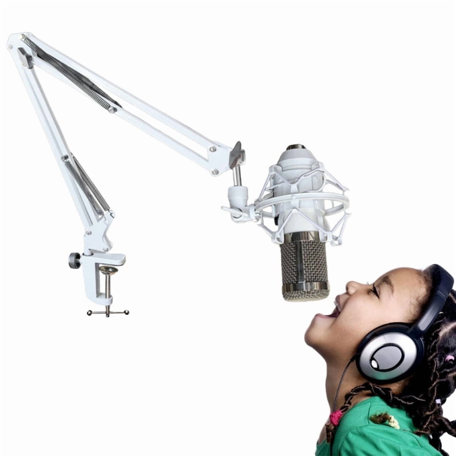 Portable Microphones Holder Arm, Multipurpose Stand for Recording Studios and Performances