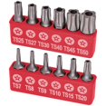 thumbnail image 1 of Juego de brocas RamPro Torx Plus de 5 puntos de seguridad a prueba de manipulaciones, 12 unidades, 1 of 7