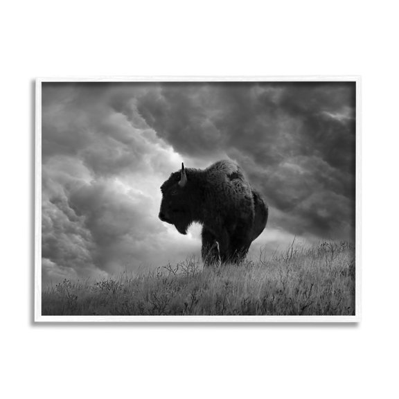 Stupell Industries Ox in Cloudy Landscape Animals & Insects Photography White Framed Art Print Wall Art, 30 x 24