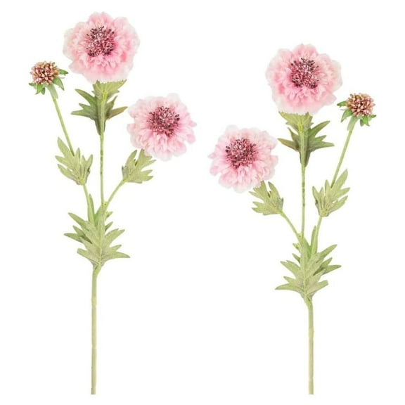 2 Silk Cream Pink Pincushion Flower Stems - for Spring Decor - Factory Direct Craft