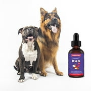 Liquid DMG for Dogs-Immune Health, Skin, Stamina, Muscles, Stress & Performance-Dimethylglycine-4oz