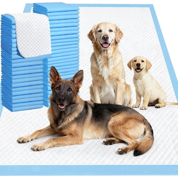 Dog Pee Pads Extra Large 32x36,60 Count Large Puppy Training Pads,Super Absorbent,pet pad.