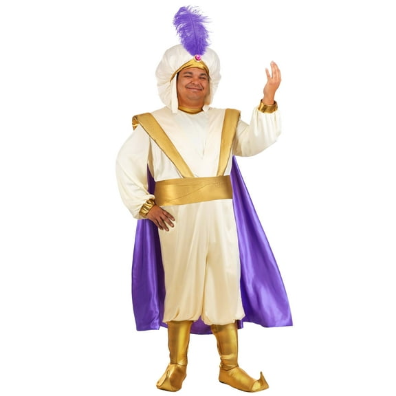 Plus Size Disney Aladdin Prince Ali Costume for Men
