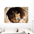 thumbnail image 1 of Twin Fox Hidden Hollow Wall Mural by Wallmonkeys Peel and Stick Graphic (48 in W x 32 in H) WM225099, 1 of 4